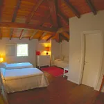Del Toro Hotel 3*