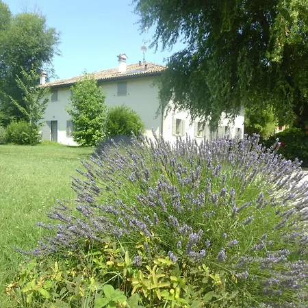 Del Toro Hotel Calderara di Reno
