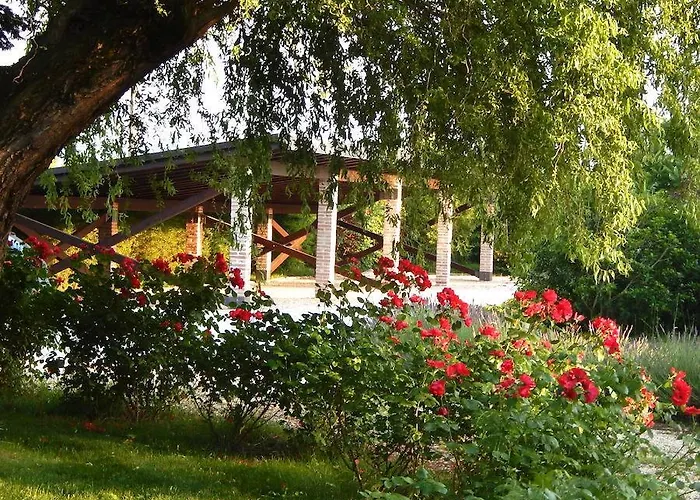 Del Toro 3* 칼더라라디레노