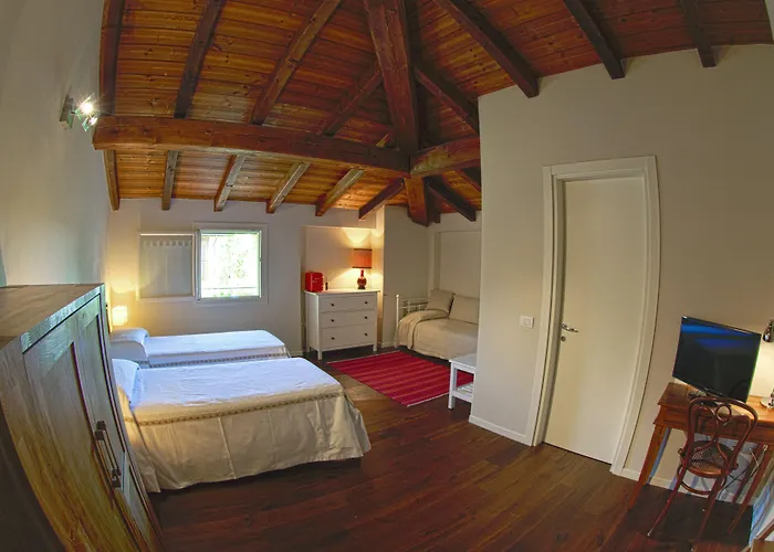 Del Toro 3* 칼더라라디레노